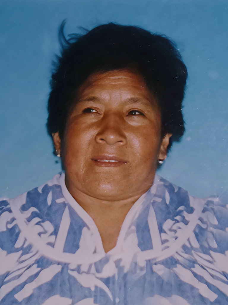 FILOMENA NOGALES SORIA VDA DE PALACIOS