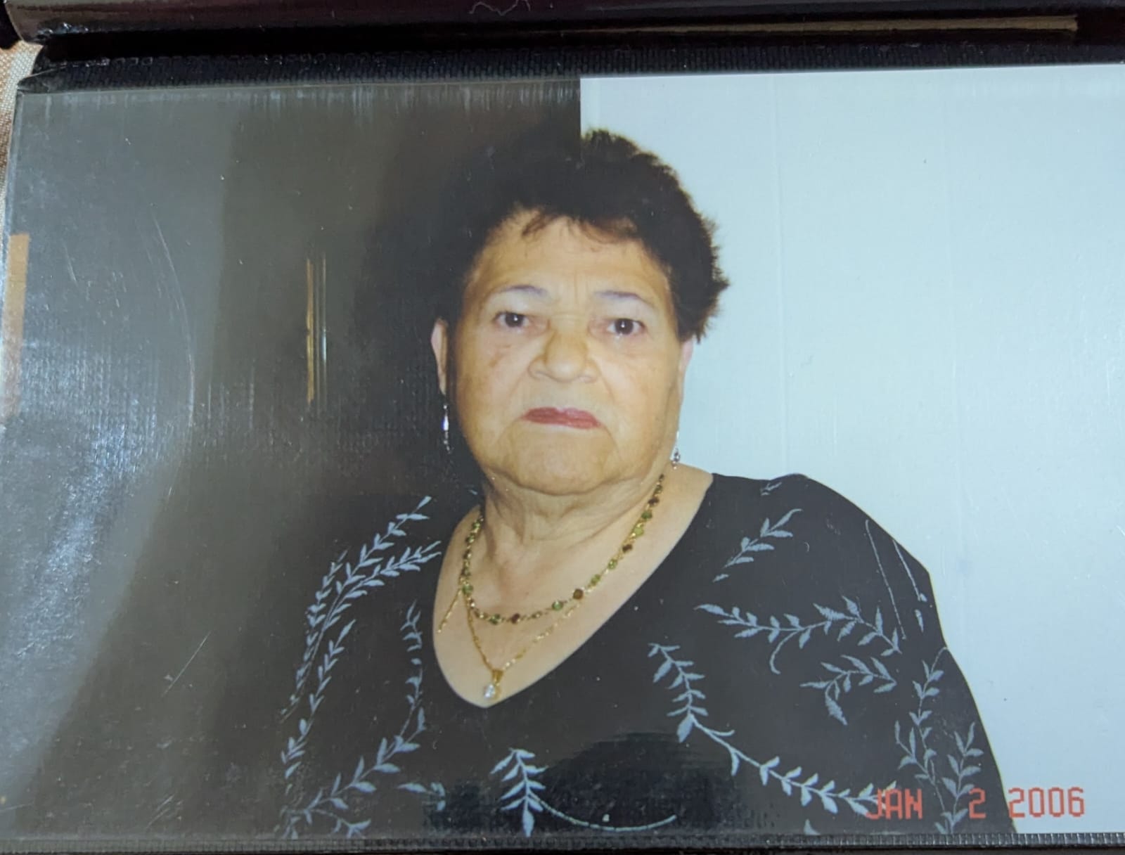 ENRIQUETA ARAUCO CAMARA