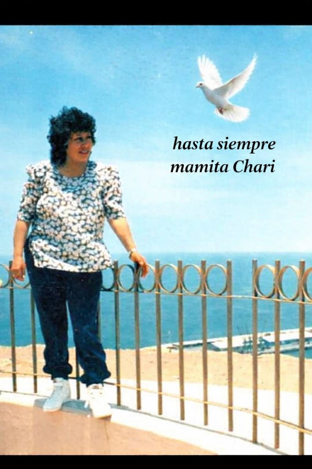 ROSARIO ORTIZ VDA DE MONTAÑO