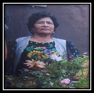ROSA FLORES DE FLORES