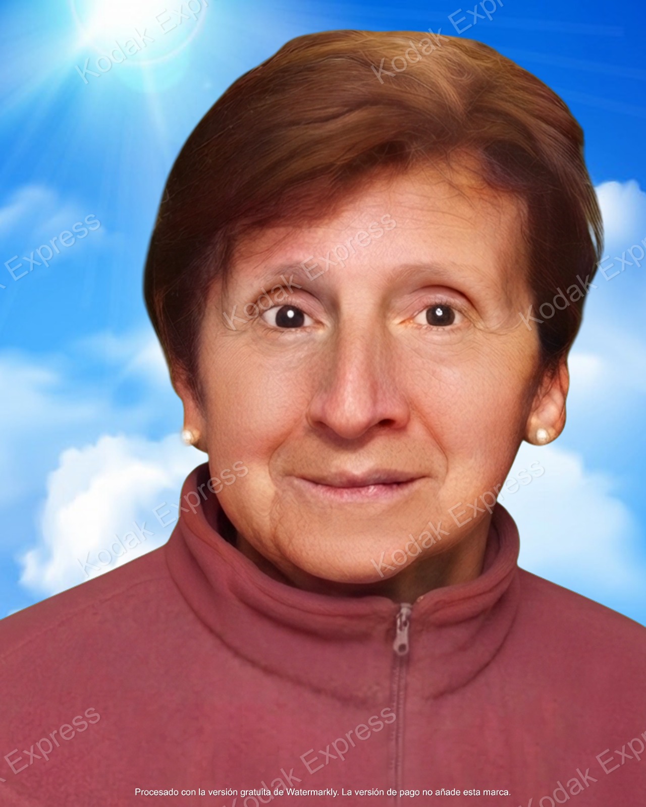 LETICIA LIDIA PEÑA ALBARRACÍN